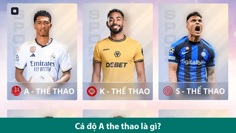 A thể thao – Đối tác tin cậy của bạn trong từng ván cược